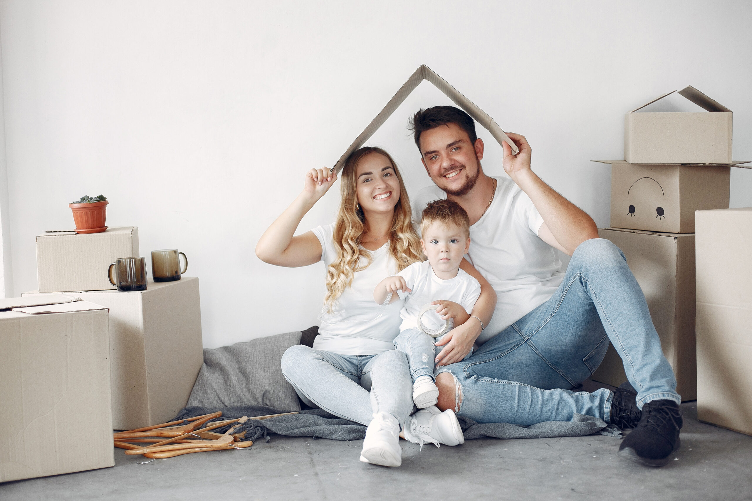 assurance vie DSF INVEST